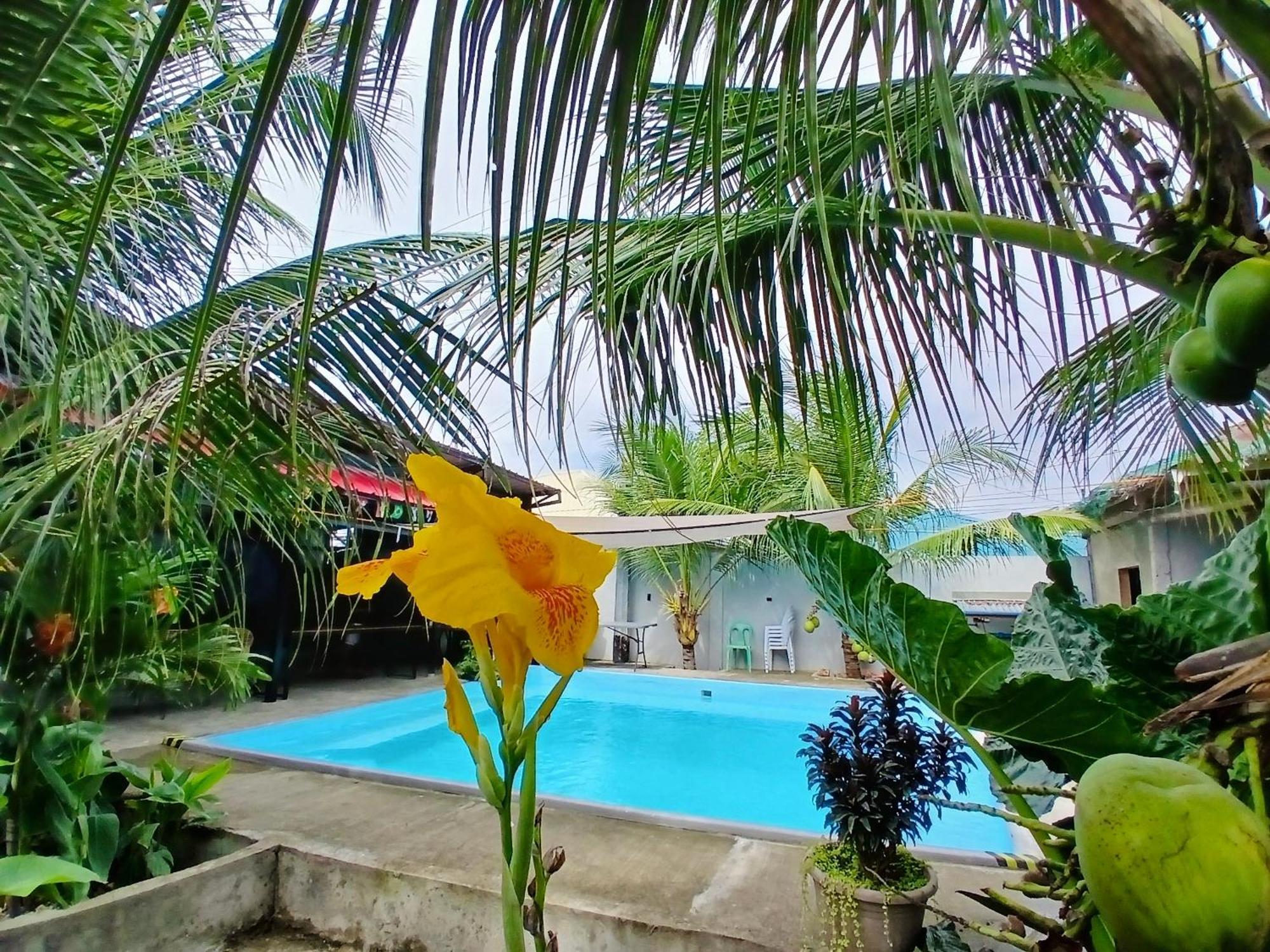 Ananas Guesthouse موالبوال المظهر الخارجي الصورة